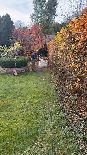 3.8K views · 63 shares | a busy autumn so far 奈 in all weathers. . . . . . . #grass #lawncare #lawnmaintenance #grasscutting #weibang #lawnmower #chequers #STIHL #fypchallenge #foryouシ #foryoupageviralシ゚ #viralreelschallenge #viralreels #gardener #gardening #17thcentury #honda #driveway #pillars #satisfying #satisfyingvideos #autumn #trees #hedgecutting #stihl #gardeninglife #hedgetrimming #trees #conifers #winter | SG gardening & property maintenance | Facebook