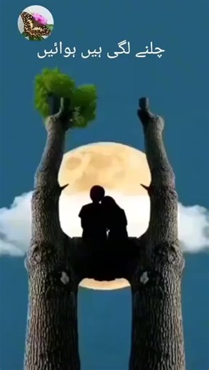 7472663903663705352