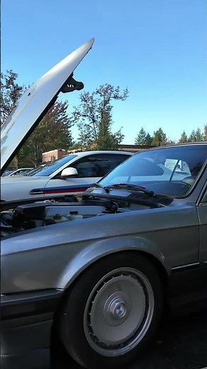 BMW E30 V8 Swapped - #carshorts