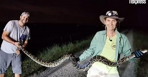 Donna Kalil, sur la trace des pythons des Everglades