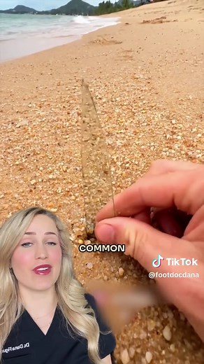 Beach Safety Tips: Doctor Explains How to Stay Safe on the Shore