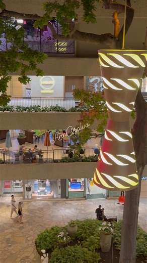 4.1K views · 119 reactions | The heart of Waikiki comes alive at night! Exploring the illuminated Royal Hawaiian Center after dark. 酪 #hawaii #waikiki #oahu #aloha #tourist #nightlife | Ann Osalvo | Facebook