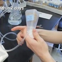 Video: Endurance Training Protocol and Longitudinal Performance Assays for Drosophila melanogaster