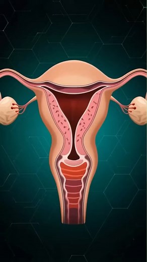 Ovulation video 3d animation #doctor #documentaryphotography #DoctorWho # reel # shorts #DoctorWh#doctor | SMART Doctor