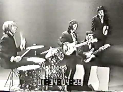 Beau Brummels - "Just a Little" - Shindig