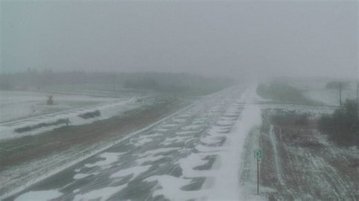 Up to 25 centimetres of snow expected in parts of Saskatchewan