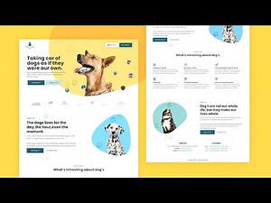 How To Create A Simple Website Using HTML And CSS + Upload Your Website To The Internet