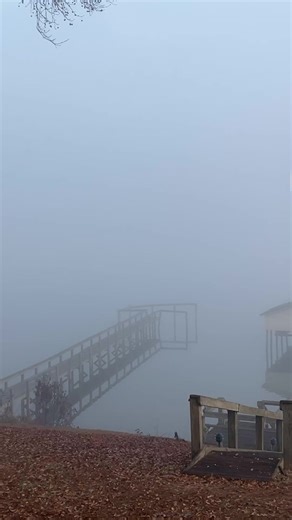 It 51 degrees, humidity 96% and dew point 50% this lovely cool foggy Thursday morning on Lake Marion SC. Air pressure is at 29.81% . Wind blowing at 0.0 and wind gusts at 0.0 blowing out of the NE. | Tony Hodge