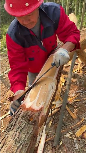 ​🪵🪓 Ultra-Satisfying Wood Debarking | Expert Log Bark Peeling Hack