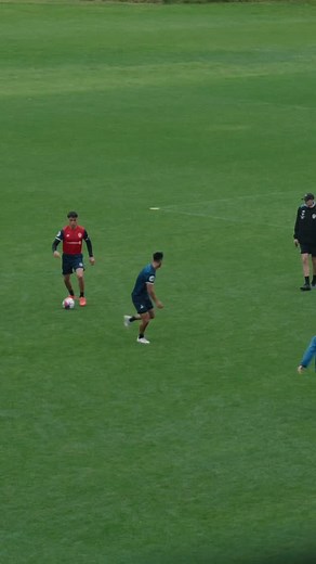 6.6K views · 56 reactions | From the stands. ️ | Auckland FC | Facebook