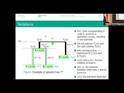 Quasi-birth-and-death processes evolving within phylogenetic trees: Modelling traits of species