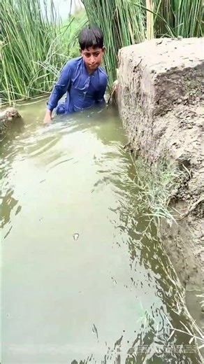 Reeling in the Catch: How Traditional Fishing Nets Secure Daily Meals