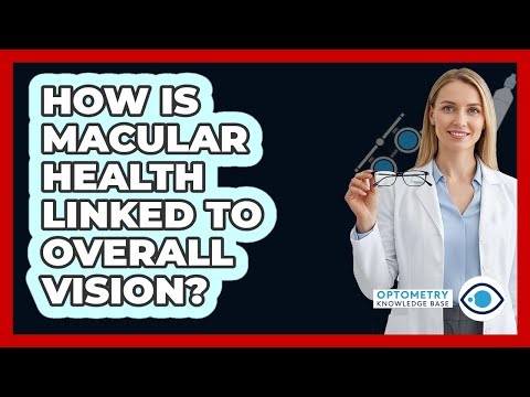 How Is Macular Health Linked To Overall Vision?