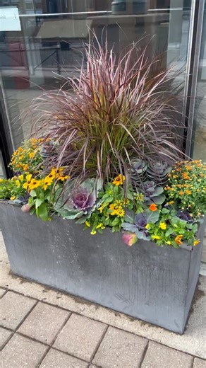 Vanessa Monardo on Instagram: "Rectangular planter boxes- purple, yellow and a hint of orange "