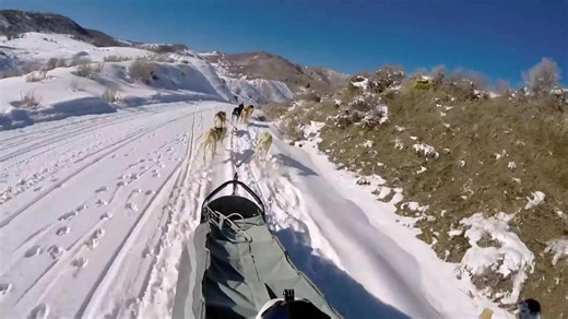 Packages ON SALE NOW! 🚨 First Come, First Served. Sign up now! Reservations.TheMusicFest.com | The MusicFest