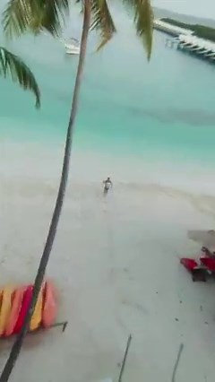 61K views · 1.3K reactions | The Underwater Jetpack's extraordinary engineering maintains its high-level freedom of movement exhibited in water just as well on land. Allowing the user to run at full speeds, a very rare crossover of two domains. #CudaJet #UnderwaterJetpack #LiveInTheRealWorld | CudaJet | Facebook