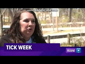 WCSH/WLBZ: NewsCenter Maine At 6pm Open--07/13/22