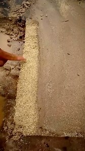 Hasta hoy nadie se atrevió a decirlo, el VERDADERO SECRETO para encontrar ORO 💰 | El documentador