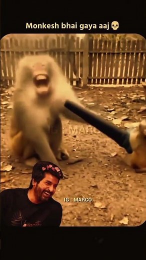 funny comment reading 🤣🤣🤣