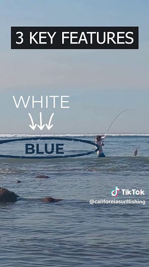 Where to catch halibut from shore - the BEST structure. Look for 3 key features shown in the video✅ Go and find similar structure at low tide. Then catch some halis 🐟 with a white swimbait #halibut #surffishing #shorefishing