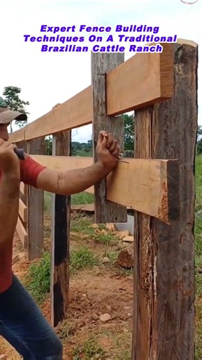Expert Fence Building Techniques On A Traditional Brazilian Cattle Ranch