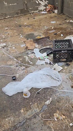 2.1K views · 18 reactions | Lil before and after of today's dumpster pad cleaning 濫冷 Full Blast Power Washing #blowinmoneymafia #fypシ #dumpsterpadcleaning #detroit #fyp #nastyasf #dirty #cleaningmotivation #letsgo | Blowin' Money Mafia | Facebook