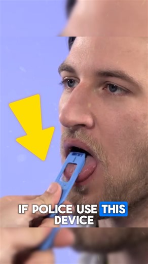 The Hidden Tool Used by Police A breakthrough in law enforcement! Police now rely on rapid drug test technology to detect substances instantly. This smart tool enhances safety, reduces crime, and supports justice with accurate results. Innovation meets security for a safer society. Credit : @securetecdetektions-system8024, @NorfolkNow, @boralwhs248, @iTzCorey /yt #LawEnforcement #CrimePrevention #PublicSafety #detector #SecuritySolutions | Bee Pet Love