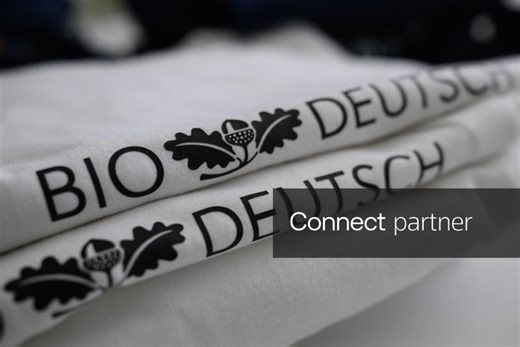 AfD Saxony-Anhalt state party conference