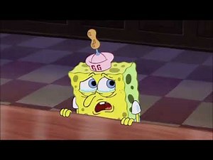 In loving memory of Stephen Hillenburg