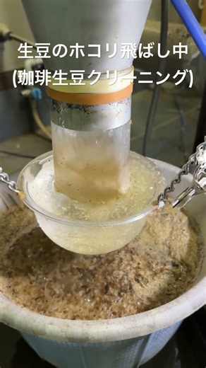 珈琲生豆のほこり飛ばし中