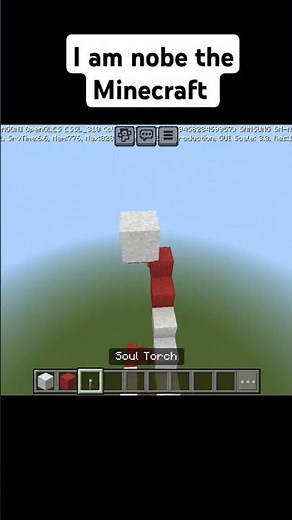 Creating the YouTube Logo in Minecraft Using Blocks | Easy Tutorial #shorts