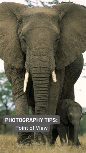 24K views · 294 reactions | Elevate your photography game with...