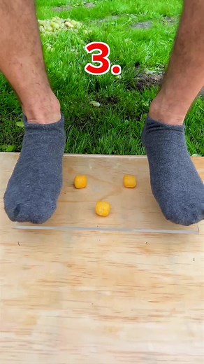 ASMR de Comida: Sons Relaxantes e Mukbang