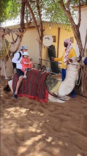 Riding a camel for the first time: Watch the hilarious moment when the camel stands up!🐪🐫