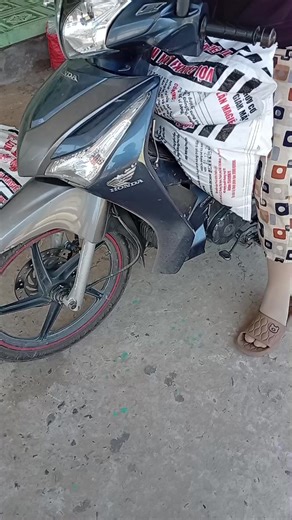 #phanvitrungluong #mit #lua #xhtiktok