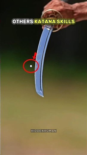 Level 1 katana skill vs Real master