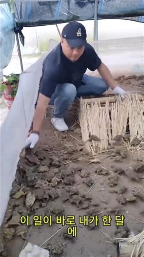 I earn 40 million won a month from this job.