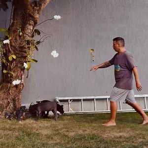 Andre Marques on Reels