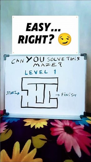 Can You Solve This EASY Maze? 🧩