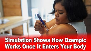 Simulation Shows How Ozempic Works Once It Enters Your Body