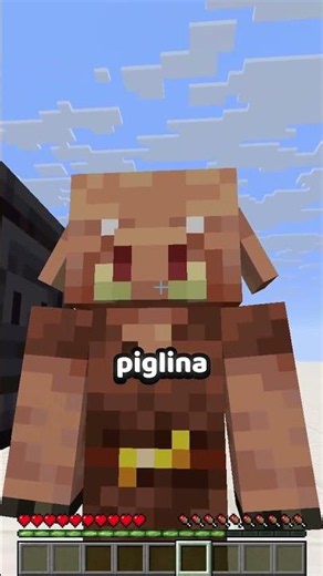 Pufferfish obličej v deepslate blocku?