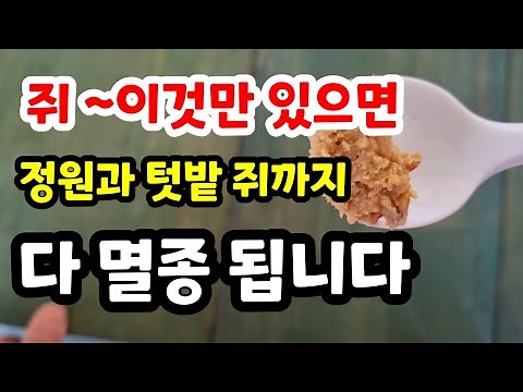 쥐 퇴치 이걸 놓은면 다 멸종됩니다 쥐 2일만에 박멸#쥐구멍초간단막는법#쥐서식지#쥐구멍쉽게찿는법#쥐피해줄이는법#쥐통로#쥐쉽게잡는법#쥐가좋아하는음식#쥐약#쥐덪#쥐퇴치기