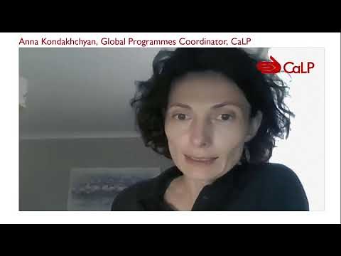 How has CVA changed the way we approach humanitarian programming?