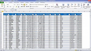 Excel - Créer votre Tableau de Bord dynamique RH (Module 1)