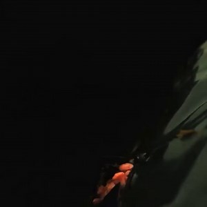 It can be tempting to see the story of life on Earth as an inevitable, linear chain of events. But the reality is that sometimes things happened the way they did for reasons that were far from inevitable and even downright bizarre. 🍄In our next video: how a global explosion of fungi may have led to the prominence of mammals after the KPG extinction. | Eons • PBS