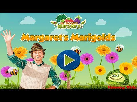 Mr Bloom's Nursery Margaret's Marigolds Gameplay for Kids