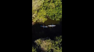 7 Micro Adventures In Fort Myers, Florida