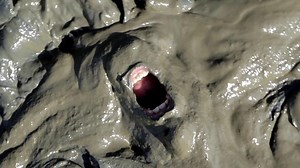 10K views · 530 reactions | Finally holiday, I get a break | Olivier de Sagazan - Officiel | Facebook