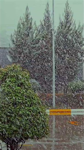 Snowy Cozy Ambience ❄️ Fireplace, Snowfall & Winter Night Relaxing Shorts #shorts