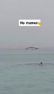 Man Swallowed By Shark In The Middle Of The Ocean